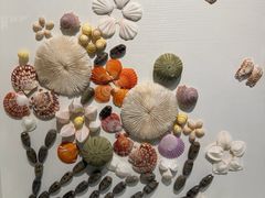 -青岛贝壳博物馆