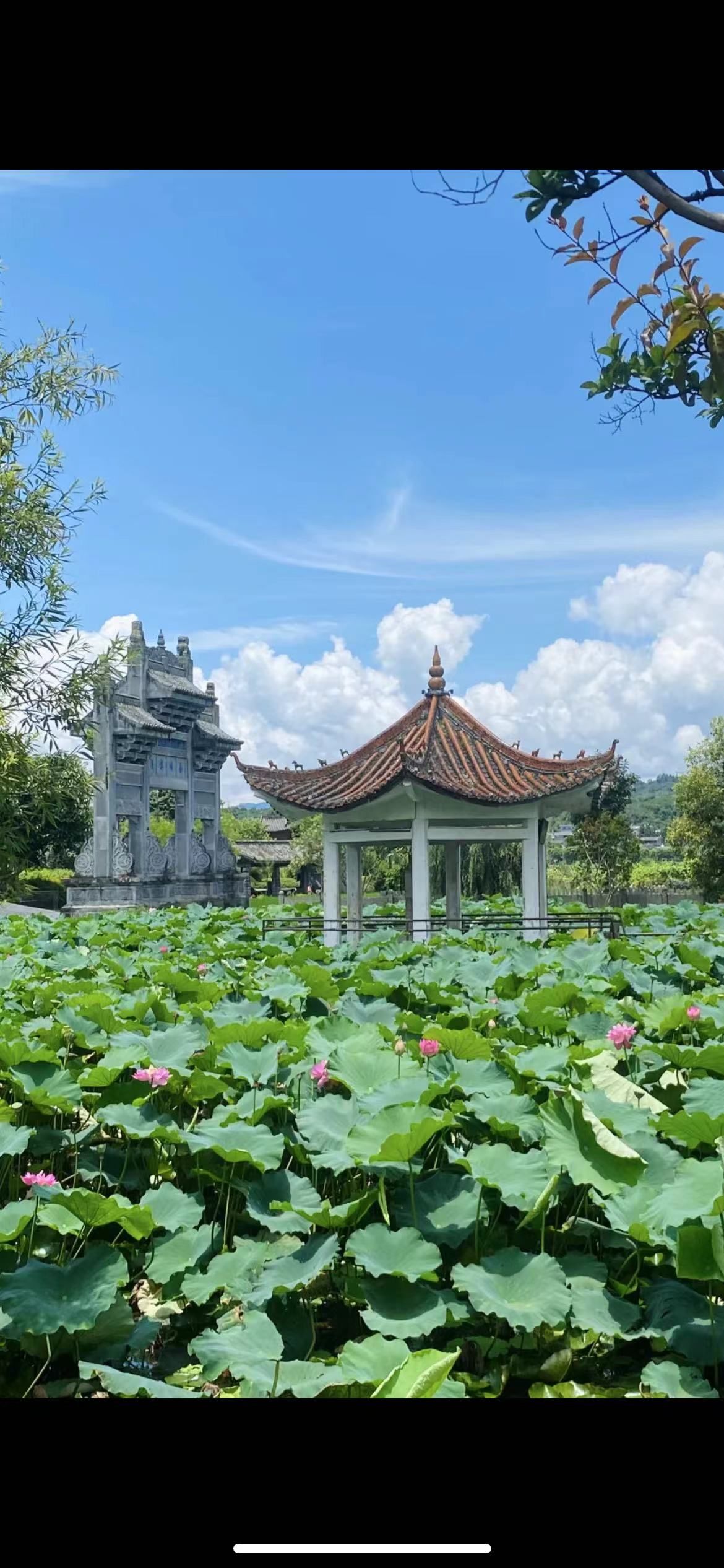 旅游景点的介绍:
 
- 历史文化:
- 起源:和顺古镇古名"阳温墩"
