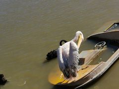 -新疆天山野生动物园