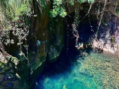 -大奇山国家森林公园