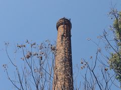 -杭州城北体育公园