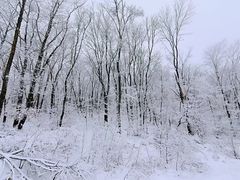 -中旅松花湖滑雪场