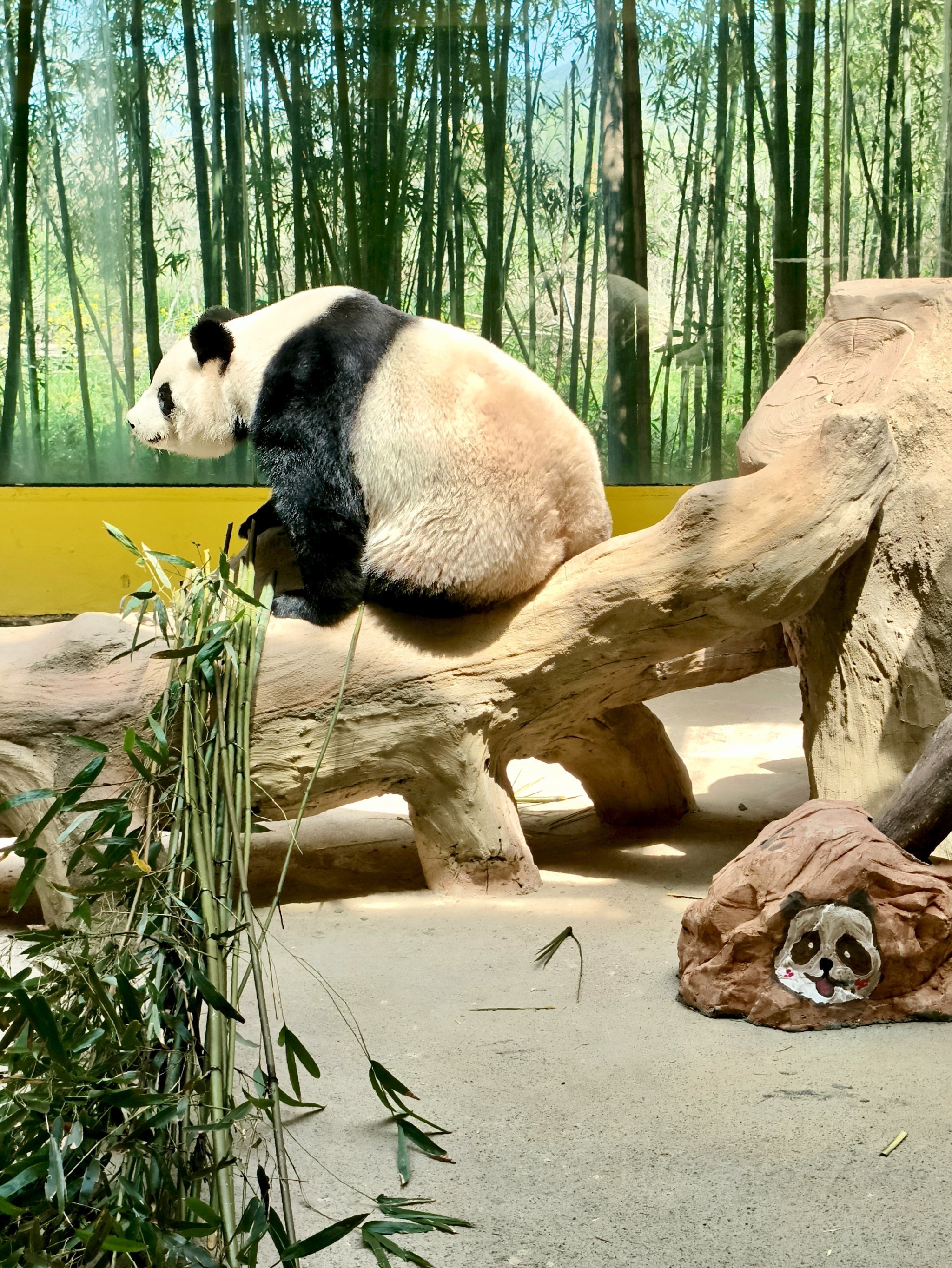 周末溜娃好去处