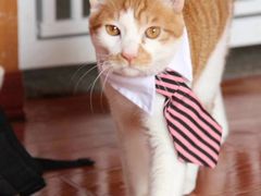 -眞宗·椰汁是大王(小娄巷店)