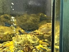 -蟹之国·精品蟹料理(极地店)