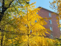 -辽宁大学(崇山校区)