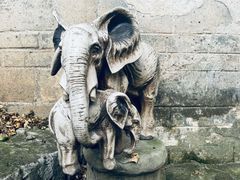 -金谷域澳洲庄园