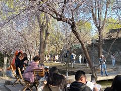 -春风习习