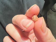 -憨铁匠老火锅(龙岗万科里店)