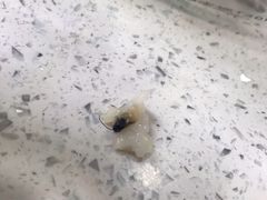 -银记肠粉(文昌北路店)