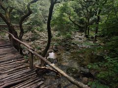 -少华山国家森林公园