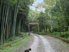 -黄公望隐居地