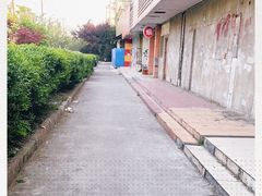 -金杨老摊头蛋饼(金口路店)