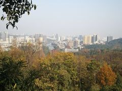 -潜山国家森林公园
