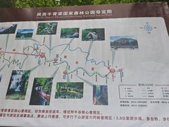 -牛背梁国家森林公园