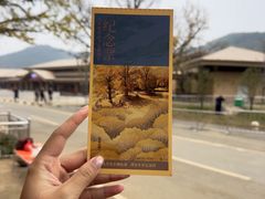 -千年银杏谷文化旅游区