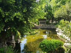 -九龙寨城公园