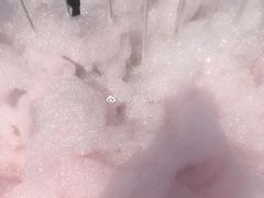 -沈阳奥林匹克体育中心