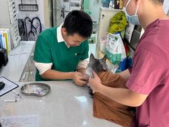 -瑞鹏宠物医院·微创内窥镜·骨外科·牙科(翠竹分院)