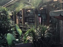 -丫口花园餐厅·融合菜