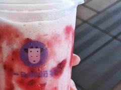 -一只酸奶牛(八一路店)