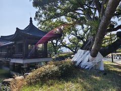 -江心屿景区