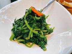 清炒豆苗-梧桐