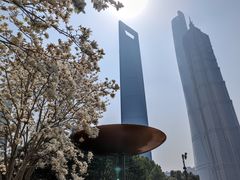 -陆家嘴中心绿地