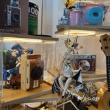 在东莞！这咖啡店里还能玩拍立得？？☕️