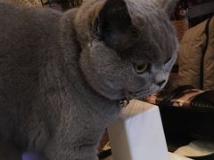 -动动咖啡清真西餐厅