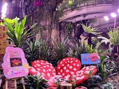 -正佳雨林生态植物园