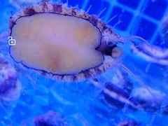 -虾享蟹逅小龙虾·螃蟹·小海鲜(吉林省总店)