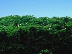 -象山森林公园