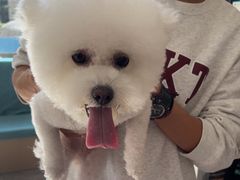 -德元·美联众合24小时动物医院(总院)
