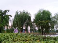 -廊坊文化艺术中心