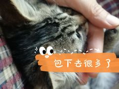 -纳吉亚猫专科动物医院博雅分院