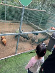 -萌宠亲子动物乐园(槐房万达店)