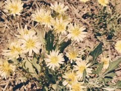 -羊亭河湿地公园