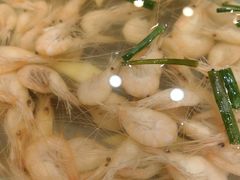 -呼吸森林·生态农庄农家乐私房菜