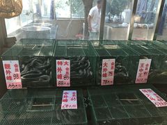 -荔城生鲜盛宴(番禺旗舰店)