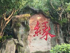 -杭州黄龙洞