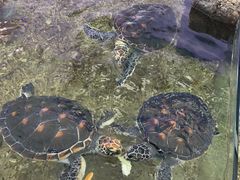 -鸿通城购物中心