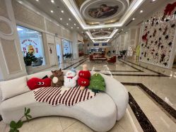 -维倪月子会所(独栋庭院·南海店)