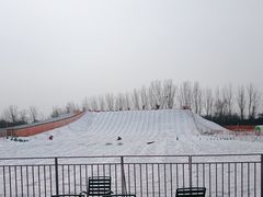 -青龙湖公园