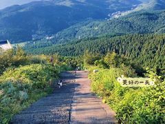 -武陵山森林公园