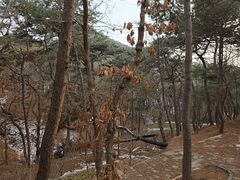 -红螺寺