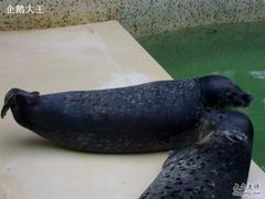 030320094642-绿色时代大酒店