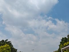 -长洲岛