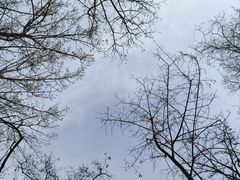 -森林公园(尖草坪区)