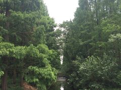 -东平国家森林公园